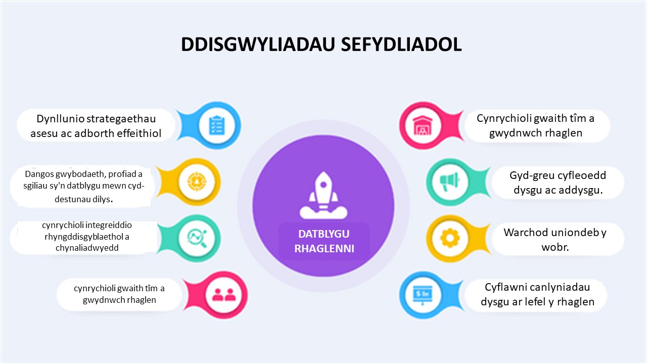 Disgwyliadau Sefydliadol (fel y'u crynhoir gan y Gwasanaeth Datblygu Addysg) 1. Cynllunio strategaethau asesu ac adborth effeithiol 2. Datblygu gwybodaeth, profiad a sgiliau mewn cyd-destunau dilys 3. Integreiddio dulliau rhyngddisgyblaethol a chynaliadwyedd 4. Datblygu Rhaglen 5. Gwydnwch gweithio mewn tîm a rhaglenni 6. Cyd-greu cyfleoedd dysgu ac addysgu 7. Diogelu uniondeb y dyfarniad 8. Cynllun a strwythur rhaglen effeithiol 9. Cyflawni deilliannau dysgu lefel y rhaglen.