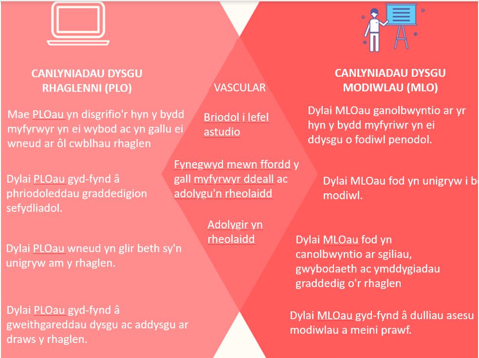 Diagram Venn sy'n dangos y tebygrwydd a'r gwahaniaethau rhwng Canlyniadau Dysgu’r Rhaglen a Chanlyniadau Dysgu’r Modiwlau. Mae rhinweddau Deilliannau Dysgu’r Rhaglen fel a ganlyn. Mae Deilliannau Dysgu’r Rhaglen yn disgrifio'r hyn y bydd myfyrwyr yn ei wybod ac yn gallu ei wneud ar ôl cwblhau rhaglen. Dylai Deilliannau Dysgu’r Rhaglen gyd-fynd â’r rhinweddau graddedigion hynny a geir ar lefel y sefydliad. Dylai’r hyn sy’n unigryw am y rhaglen fod yn glir yn Neilliannau Dysgu’r Rhaglen. Dylai Deilliannau Dysgu’r Rhaglen gyd-fynd â gweithgareddau dysgu ac addysgu ar draws y rhaglen. Rhestrir rhinweddau Deilliannau Dysgu Modiwlau fel a ganlyn: Dylai Deilliannau Dysgu Modiwlau ganolbwyntio ar yr hyn y bydd myfyriwr yn ei ddysgu o ganlyniad i astudio modiwl penodol. Dylai Deilliannau Dysgu Modiwlau fod yn unigryw i bob modiwl. Dylai Deilliannau Dysgu Modiwlau ganolbwyntio ar sgiliau, gwybodaeth ac ymddygiadau myfyriwr sy’n graddio o’r rhaglen. Dylai Deilliannau Dysgu Modiwlau gyd-fynd â dulliau asesu a meini prawf pob modiwl. Rhestrir y rhinweddau a rennir rhwng rhaglenni a deilliannau dysgu fel a ganlyn. Dylai Deilliannau Dysgu’r Rhaglen a Deilliannau Dysgu Modiwlau fod yn briodol i’r lefel astudio dan sylw, dylent gael eu mynegi mewn ffordd ddealladwy i’r myfyrwyr, a’u hadolygu'n rheolaidd. Dylai'r ddau fod yn 'VASCULAR' hefyd. Mae VASCULAR yn mnemonig ar gyfer dull blaengar o greu deilliannau dysgu fel yr awgrymir gan Sally Brown. Mae'n golygu: Gellir Dilysu’r hyn sydd Dan Sylw, Canolbwyntio ar Weithredu, Unigol, Wedi'i Alinio'n Adeiladol, Dealladwy, Lefel-Briodol, Gweithredol-Gynhwysol, Wedi'i adolygu'n rheolaidd.