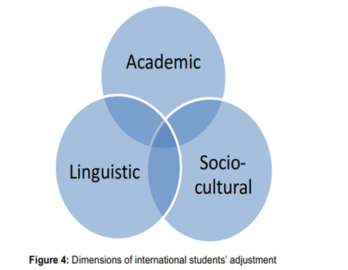 3 overlapping circles venn diagram: Academic, Linguistic and Socio-cultural