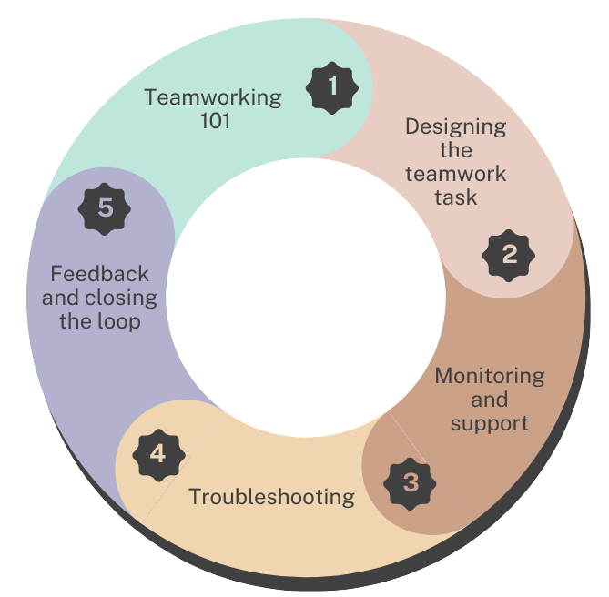 A process wheel showing the 5 key areas of developing teamwork assessments covered in this page.