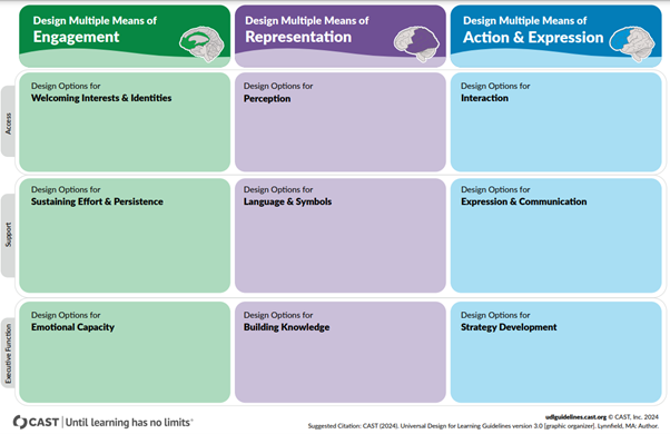 Three columns: Multiple means of engagement with three rows below: Desigining options for welcoming interests and identities; sustaining effort and persistence and emotional capacity. Column 2 multiple means of representation: three rows below: design options for perception; language and symbols and building knowledge. Column 3 Multiple means of action and expression with three rows: Design options for interaction; expression and communication and strategy development