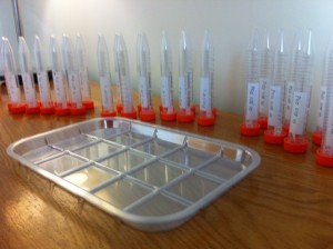 Bagging and Tagging – Kille and Morgan lab group - Cardiff University