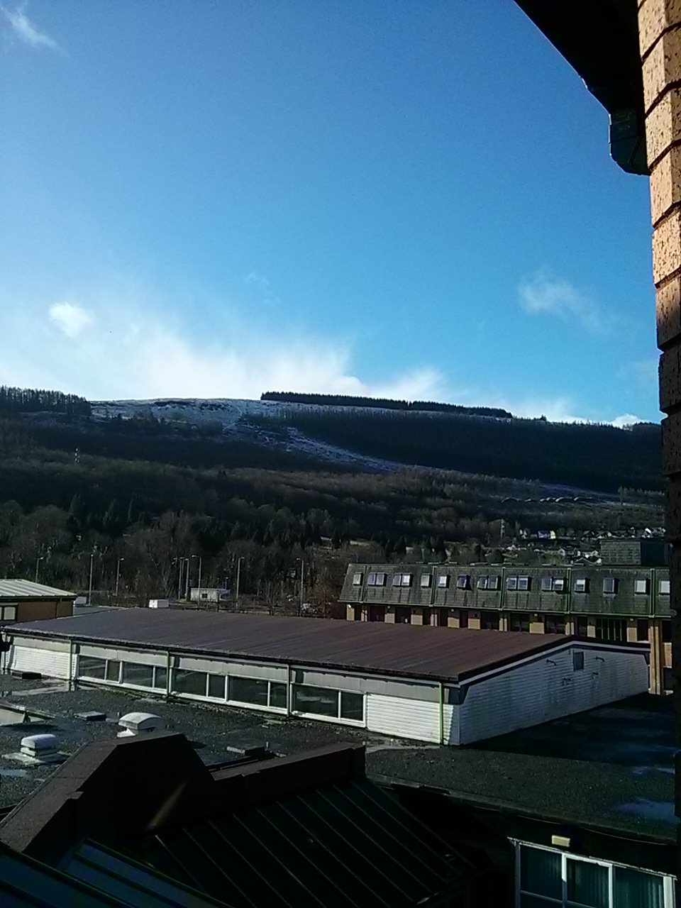 Mountain Ash school with snowy peaks behind
