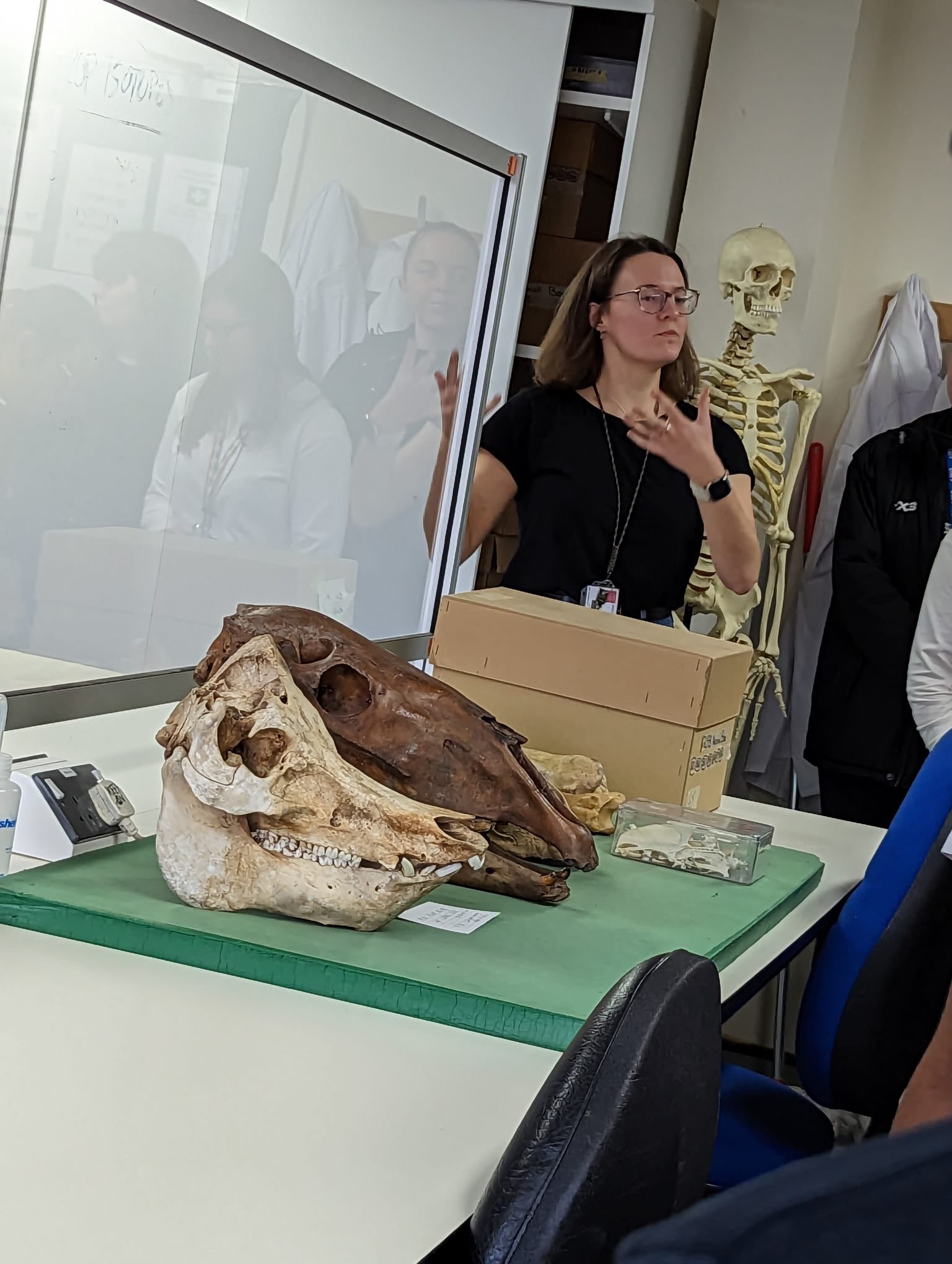 A woman speaks to a group by a desk. On the desk are a variety of animal skulls including a pig and horse.