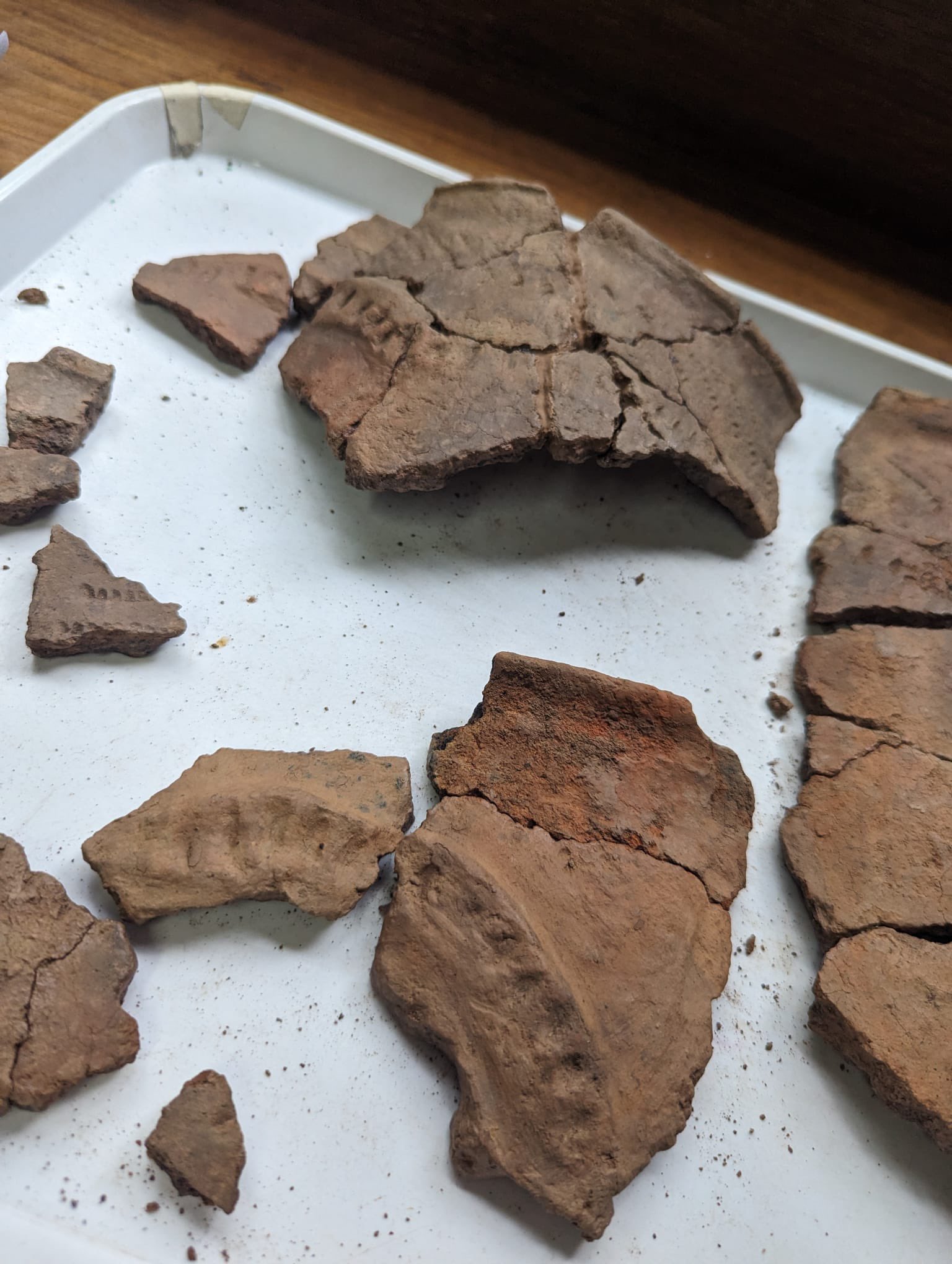 Fragments of pot from the Trelai Park 2022 excavation being conserved by Leonie McKenzie