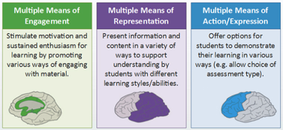 Multiple means of Engagement : Stimulate motivation and sustained enthusiasm for learning by promoting various ways of engaging with material. Multiple means of Representation: Present information and content in a variety of ways to support understanding by students with different learning styles/abilities. Multiple means of Action/Expression: Offer options for students to demonstrate their learning in various ways (e.g allow choices of assessment type). 